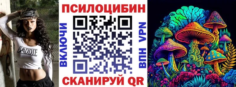 Галлюциногенные грибы Psilocybe  Ртищево 