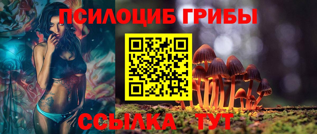 Ртищево  Псилоцибиновые грибы мицелий  Галлюциногенные грибы GOLDEN TEACHER  Вход с VPN 